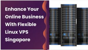 Illustration of data servers next to promotional text highlighting benefits of Linux VPS Hosting in Singapore for online businesses.
